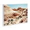 Stupell Industries Arid Desert Scenery Wall Plaque Art Design by Debbie O'dell